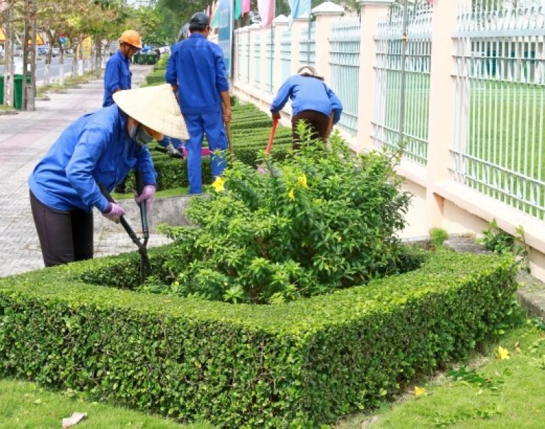 Chăm sóc cây xanh đô thị